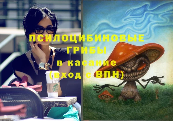 первитин Приозерск