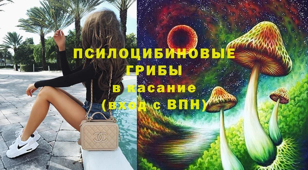 молекула духа Аркадак