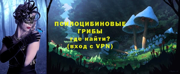 ГАЛЛЮЦИНОГЕННЫЕ ГРИБЫ Армянск